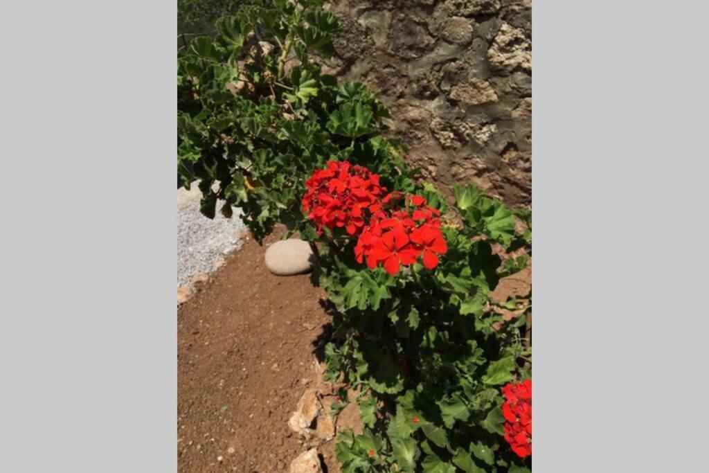 Gerani Maison Agios Aimilianos Beautiful View Porto Heli Exterior photo